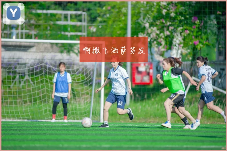 德甲转会市场:最新动态与重磅交易_20260522160731